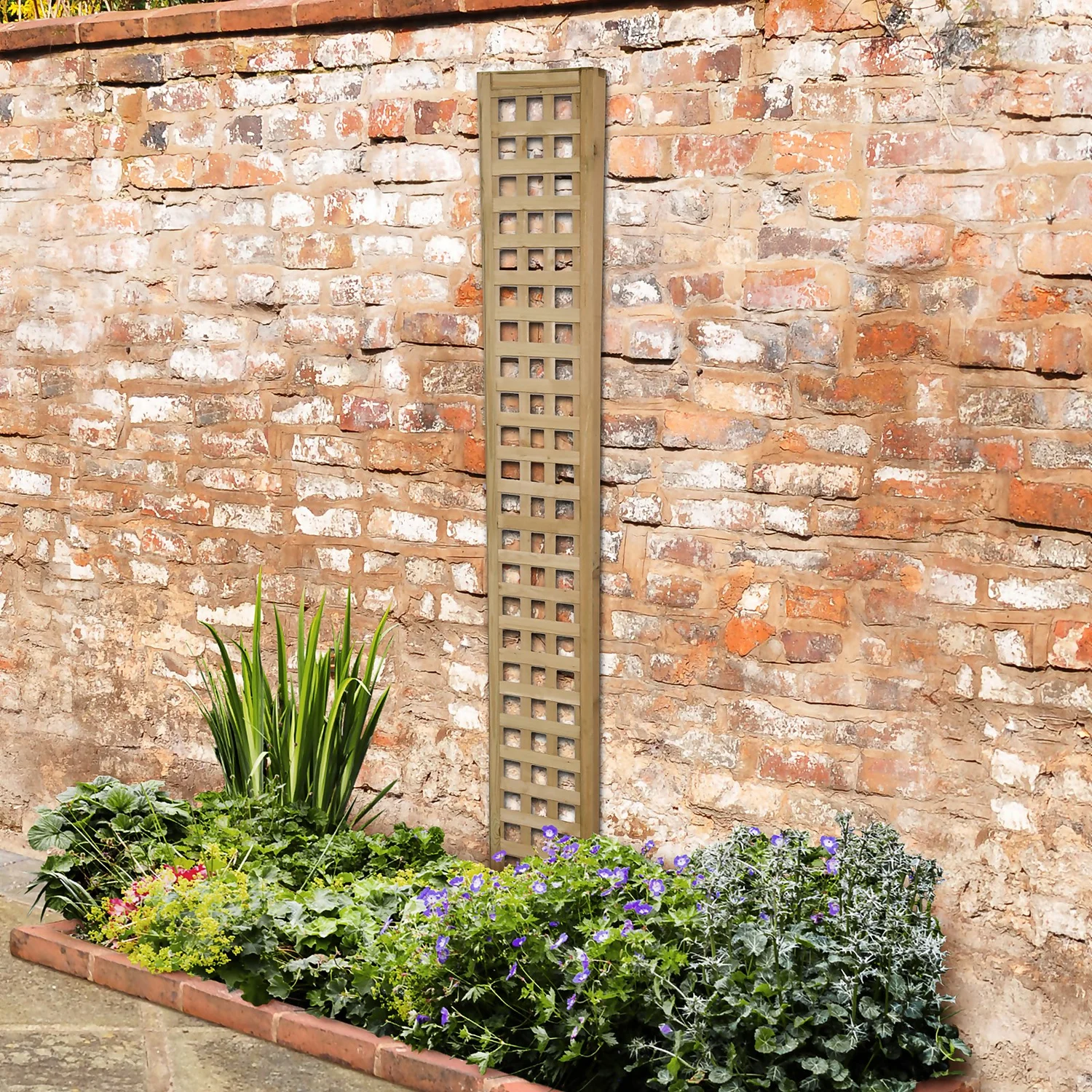 Forest Prem Framed Trellis - 180x30cm - 10pk 4 Forest Prem Framed Trellis - 180x30cm - 10pk - Image 2