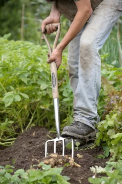 Spear & Jackson Traditional Stainless Digging Fork -GreenScape Sales Store 12904675 1274851072244143