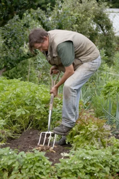 Spear & Jackson Traditional Stainless Digging Fork -GreenScape Sales Store 12904675 2754851072222033