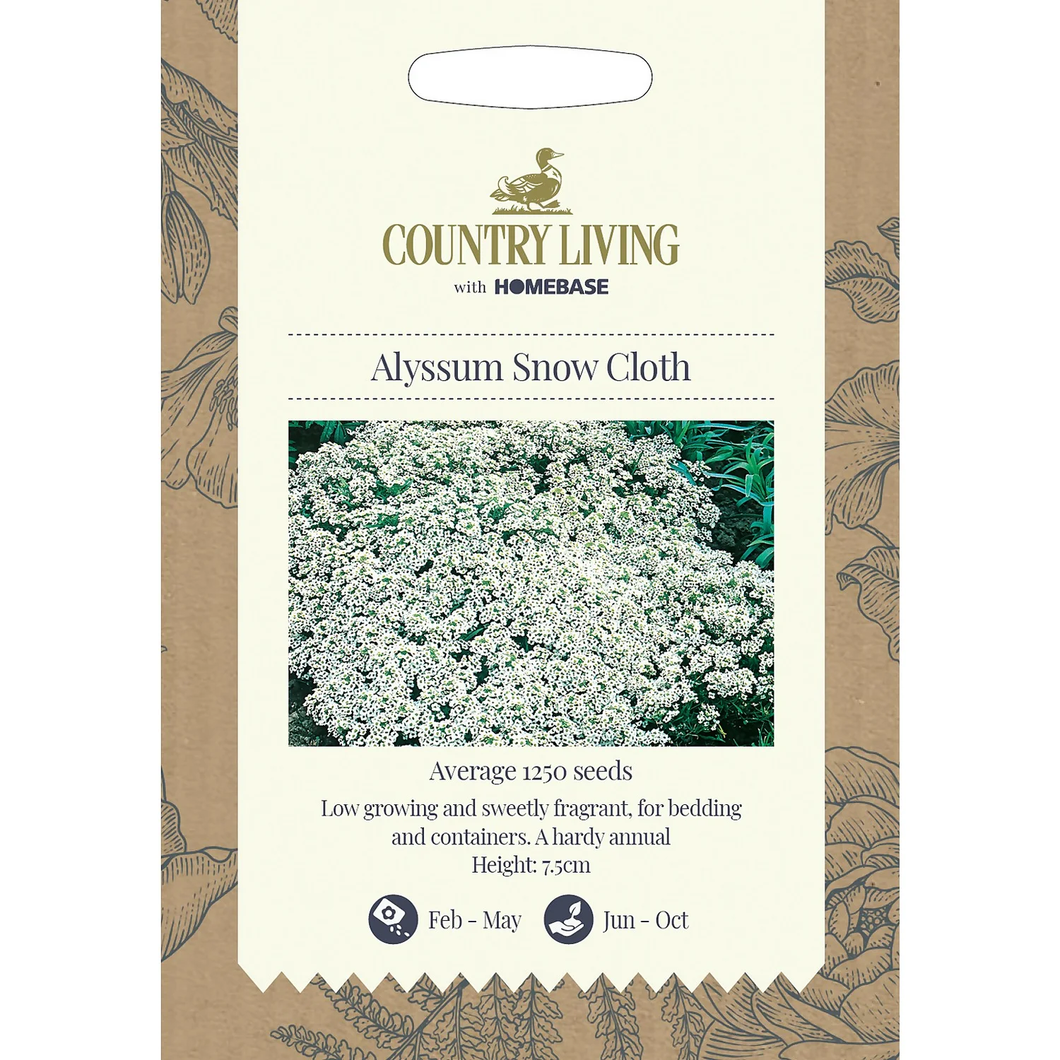 Country Living Alyssum Snow Cloth Seeds 3 Country Living Alyssum Snow Cloth Seeds