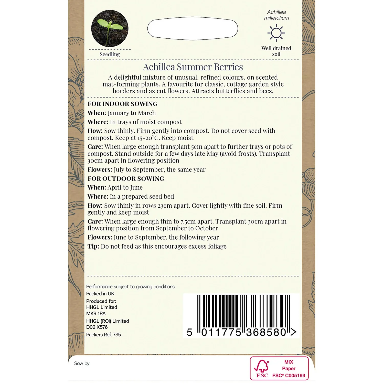 Country Living Achillea Summer Berries Seeds 4 Country Living Achillea Summer Berries Seeds - Image 2