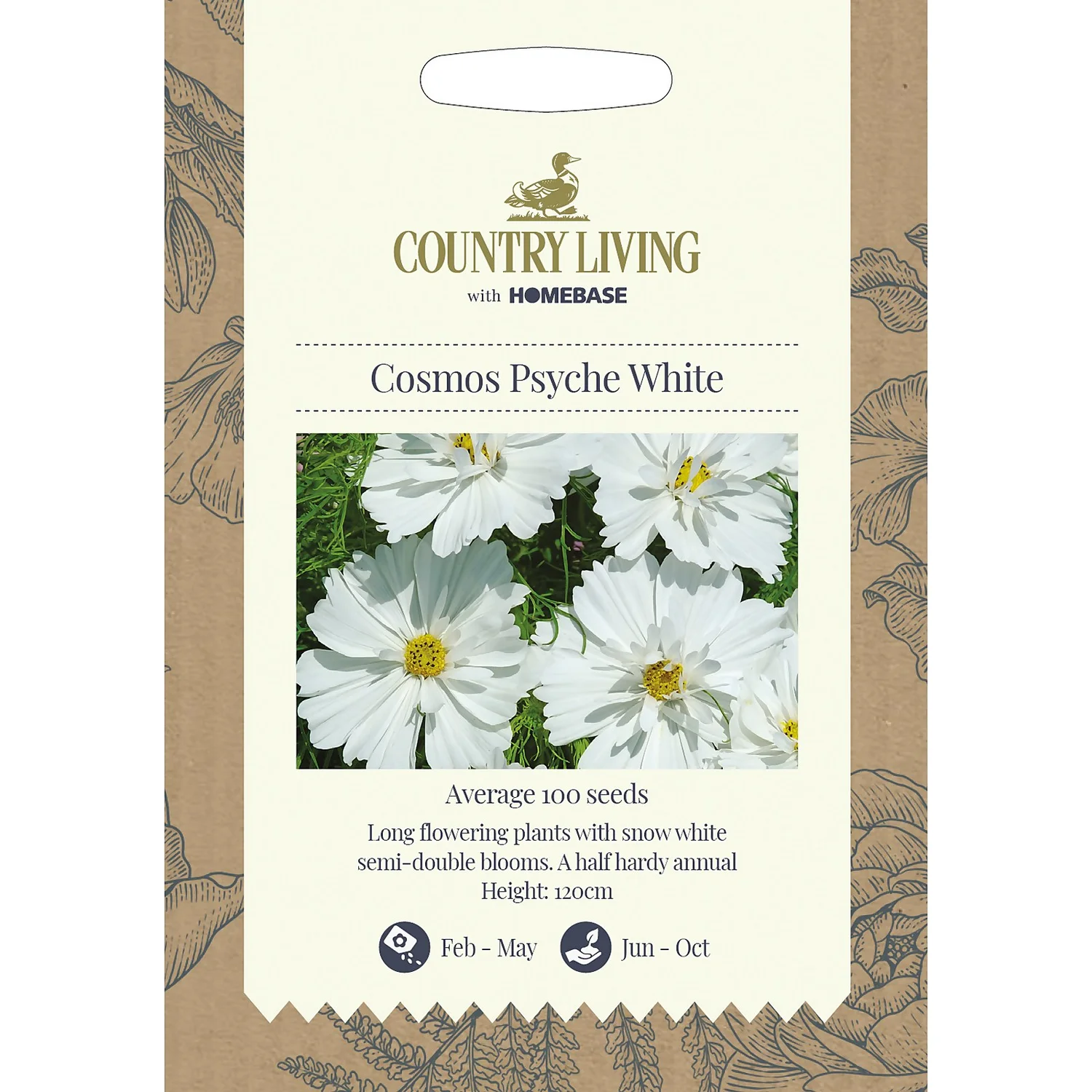 Country Living Cosmos Psyche White Seeds 3 Country Living Cosmos Psyche White Seeds