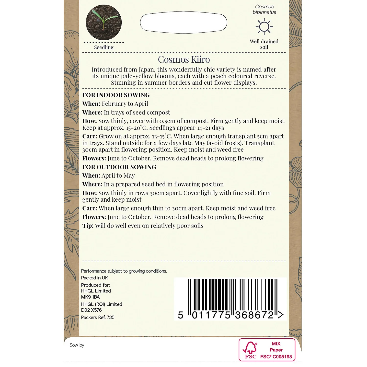 Country Living Cosmos Kiiro Seeds 3 Country Living Cosmos Kiiro Seeds - Image 2