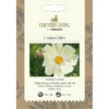 Country Living Cosmos Kiiro Seeds 2 Country Living Cosmos Kiiro Seeds -GreenScape Sales Store 13118197 4544888659731370