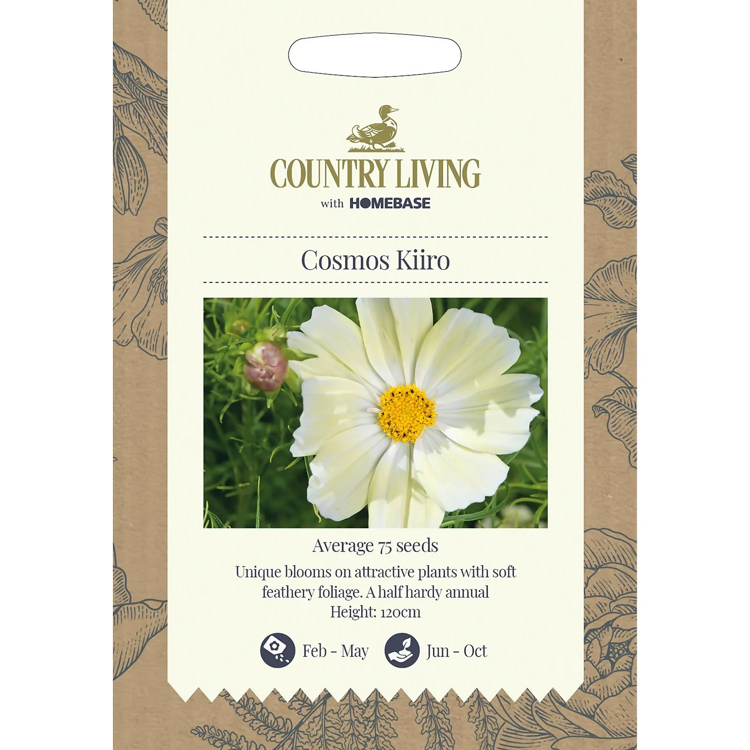 Country Living Cosmos Kiiro Seeds 2 Country Living Cosmos Kiiro Seeds