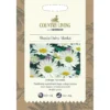 Country Living Shasta Daisy Alaska Seeds