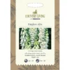 Country Living Foxglove Alba Seeds -GreenScape Sales Store 13118210 9794888660891491