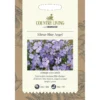 Country Living Silene Blue Angel Seeds
