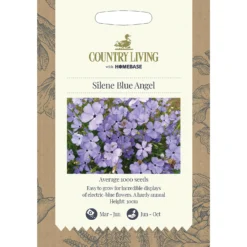 Country Living Silene Blue Angel Seeds