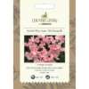 Country Living Sweet Pea Alan Titchmarsh Seeds -GreenScape Sales Store 13118212 2074888664178495