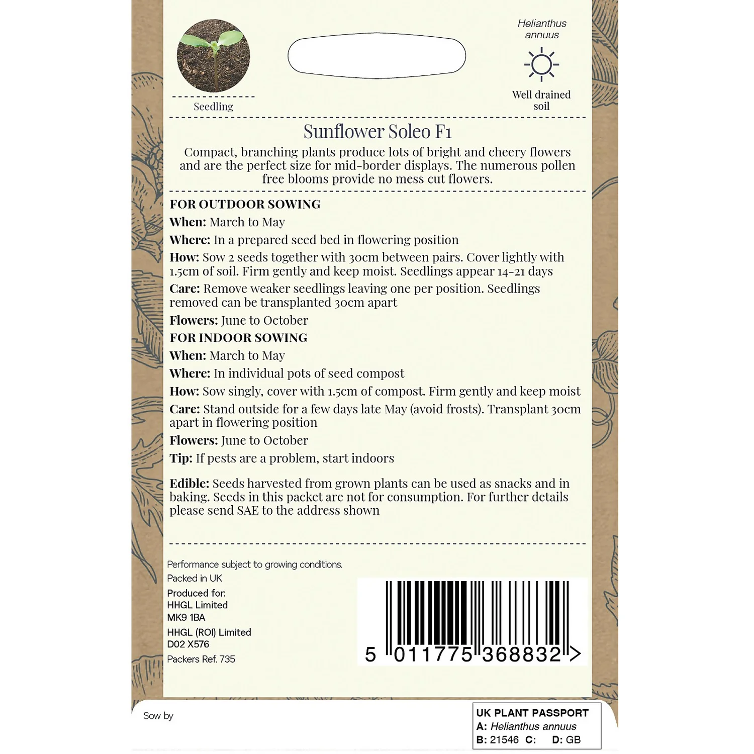 Country Living Sunflower Soleo F1 Seeds 4 Country Living Sunflower Soleo F1 Seeds - Image 2