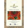 Country Living Sunflower Velvet Queen Seeds 1 Country Living Sunflower Velvet Queen Seeds -GreenScape Sales Store 13118216 1044888663894827