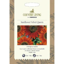 Country Living Sunflower Velvet Queen Seeds
