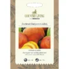 Country Living Beetroot Burpees Golden Seeds -GreenScape Sales Store 13118221 6784888665991314