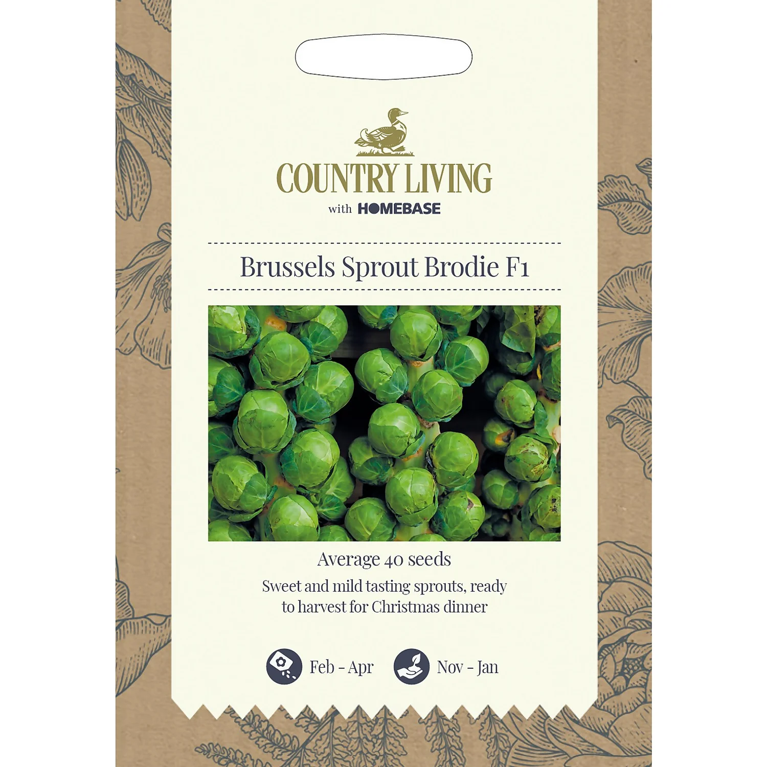 Country Living Brussels Sprout Brodie F1 Seeds 3 Country Living Brussels Sprout Brodie F1 Seeds
