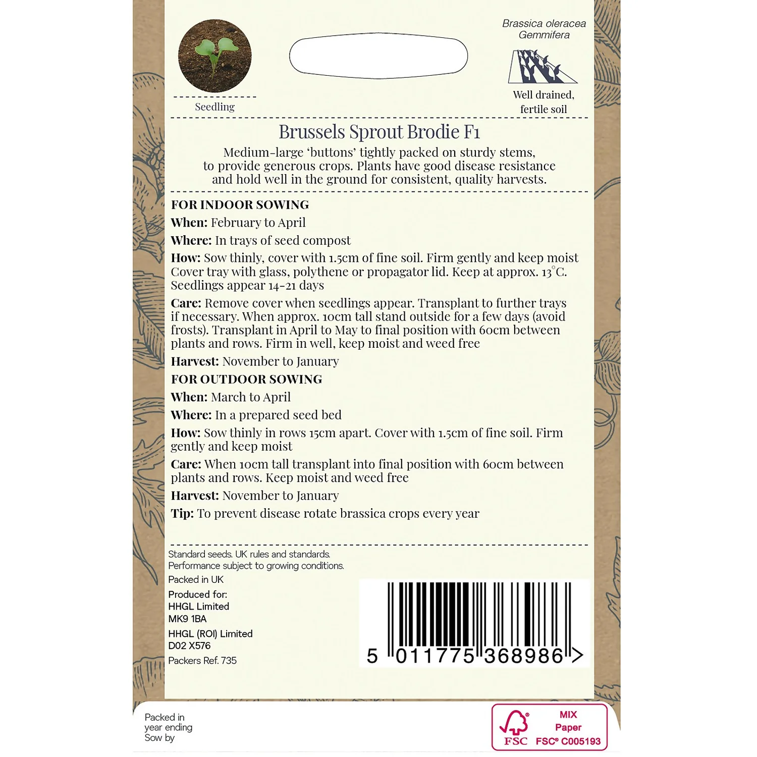 Country Living Brussels Sprout Brodie F1 Seeds 4 Country Living Brussels Sprout Brodie F1 Seeds - Image 2
