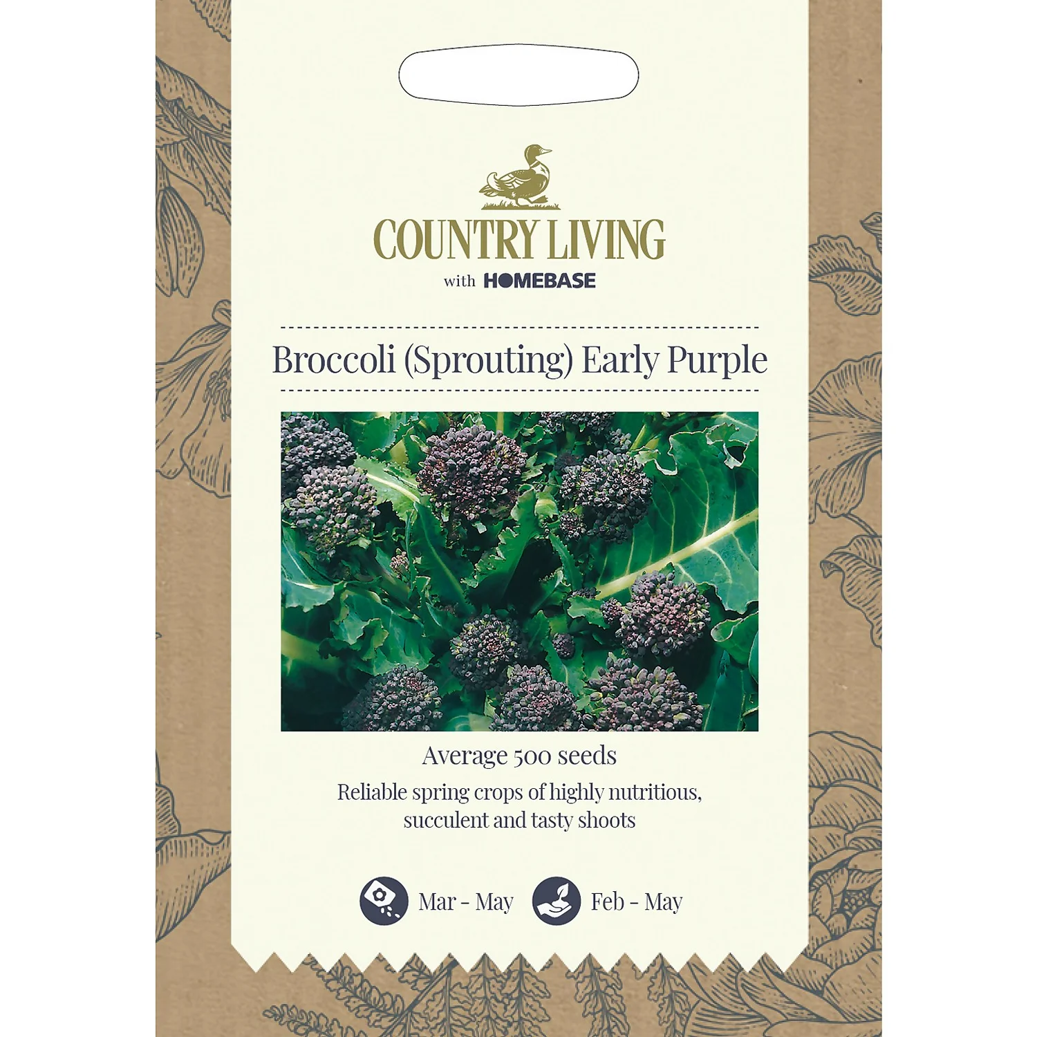 Country Living Broccoli Sprouting Early Purple Seeds 3 Country Living Broccoli Sprouting Early Purple Seeds