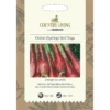 Country Living Onion Spring Red Toga Seeds -GreenScape Sales Store 13118246 1864888892460768