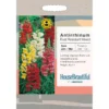 House Beautiful Antirrhinum Rust Resistant Mixed Seeds -GreenScape Sales Store 13118255 1394888900715781