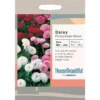 House Beautiful Daisy Pomponette Mixed Seeds