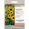 House Beautiful Sunflower Little Dorrit F1 Seeds -GreenScape Sales Store 13118277 8994889117776401