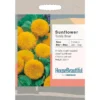 House Beautiful Sunflower Teddy Bear Seeds -GreenScape Sales Store 13118279 8894889118032961