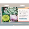 House Beautiful Colourful Canvas (Flowers For Cutting) Seeds -GreenScape Sales Store 13118299 1084889128694070