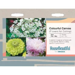 House Beautiful Colourful Canvas (Flowers For Cutting) Seeds