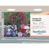 House Beautiful Flowers For Containers Seeds -GreenScape Sales Store 13118304 8634889130478992