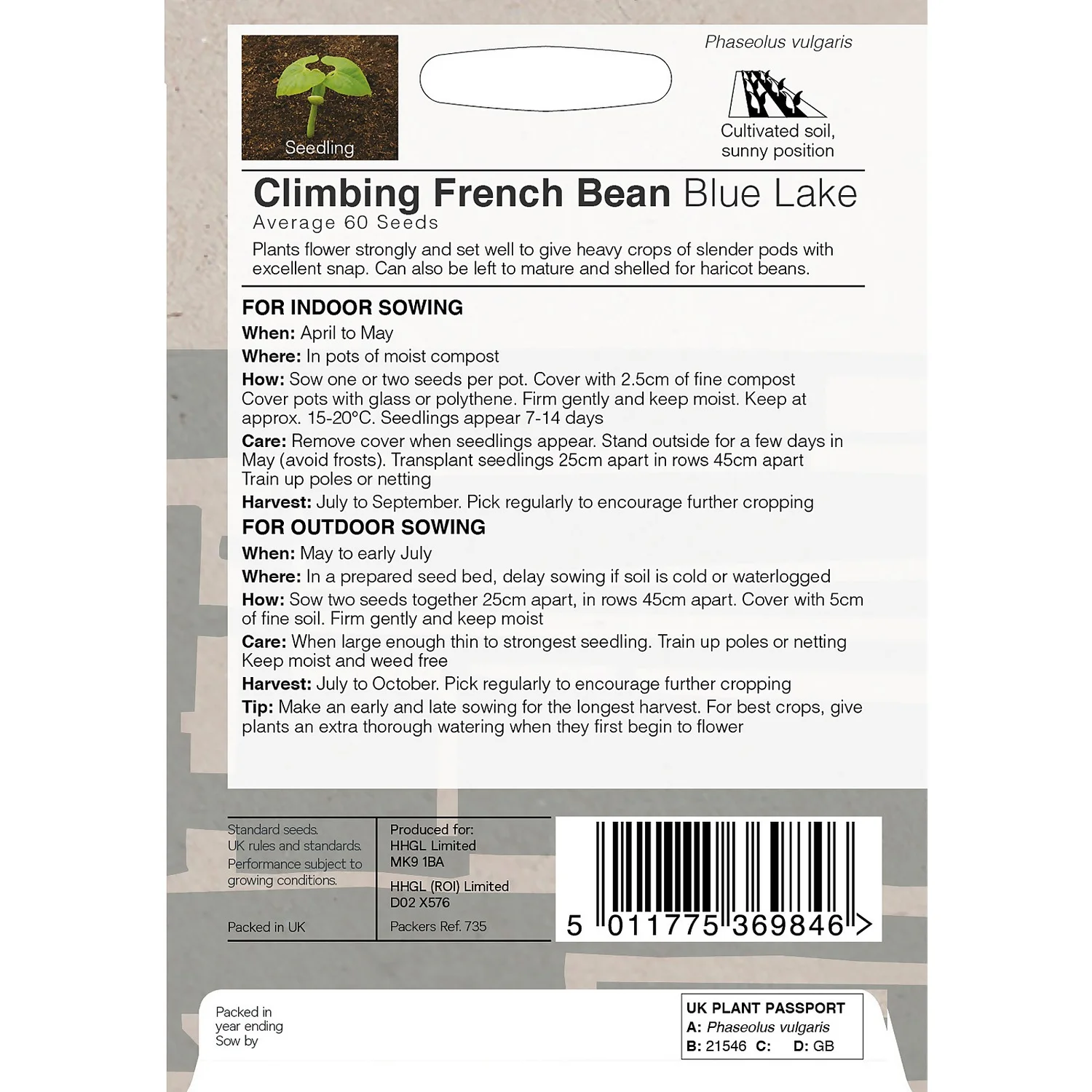 House Beautiful Climbing French Bean Blue Lake Seeds 4 House Beautiful Climbing French Bean Blue Lake Seeds - Image 2