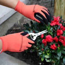 House Beautiful Gardening Gloves - Orange & Black 11 House Beautiful Gardening Gloves - Orange & Black -GreenScape Sales Store 13188715 1664928026723635