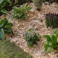 Westland Rustic Wood Chips - 60L -GreenScape Sales Store 13280769 1564929084866478