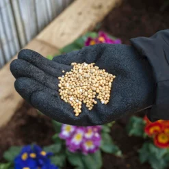 Miracle-Gro Premium All Purpose Continuous Release Plant Food 900G 8 Miracle-Gro Premium All Purpose Continuous Release Plant Food 900G -GreenScape Sales Store 13308222 9885012580990969