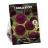 None Pompon Dahlia Rocco Flower Bulbs 1 None Pompon Dahlia Rocco Flower Bulbs -GreenScape Sales Store 13436279 4445022421402164