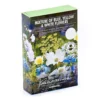None Seed Mixture Of Blue, Yellow And White Flowers 1 None Seed Mixture Of Blue, Yellow And White Flowers -GreenScape Sales Store 13436284 8955022447935733