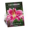 None Oriental Lily Stargazer Flower Bulbs -GreenScape Sales Store 13436287 8775022421579533