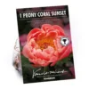 None Peony Lactiflora Coral Sunset Flower Bulb 1 None Peony Lactiflora Coral Sunset Flower Bulb -GreenScape Sales Store 13436289 1085022447926181