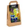 None Summer Shades Flower Bulb Collection -GreenScape Sales Store 13436292 1215022448144575