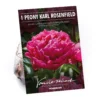 Peony Karl Rosenfield Flower Bulb -GreenScape Sales Store 13436298 4975022447876564