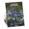 Agapanthus Black Buddhist Flower Bulb 1 Agapanthus Black Buddhist Flower Bulb -GreenScape Sales Store 13436301 1275022447926934