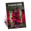 Gladioli Tavira Flower Bulbs -GreenScape Sales Store 13436306 1845022447875940