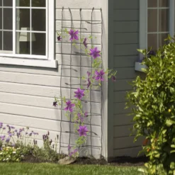 Panacea Forged Twig With Leaves Garden Trellis - Black - 184 X 59cm 5 Panacea Forged Twig With Leaves Garden Trellis - Black - 184 X 59cm -GreenScape Sales Store 13457530 1604932704539857