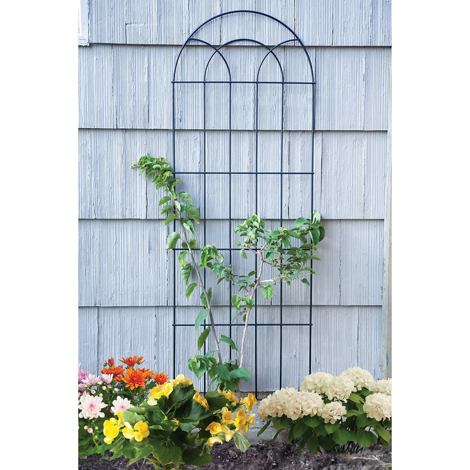 Panacea Classic Black Garden Trellis - 183 X 56cm 4 Panacea Classic Black Garden Trellis - 183 X 56cm - Image 2