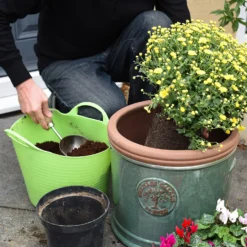 Coco & Coir Coco Grow+ Seed & Cutting Compost + 20% Perlite - 15L 7 Coco & Coir Coco Grow+ Seed & Cutting Compost + 20% Perlite - 15L -GreenScape Sales Store 13487127 6914919980816800