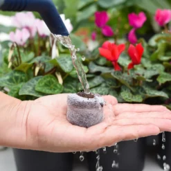 Coco & Coir Seed Germination Dots - 40mm -GreenScape Sales Store 13487129 3894919981363337