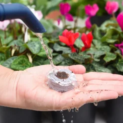 Coco & Coir Seed Germination Dots - 40mm -GreenScape Sales Store 13487129 7814919981385408