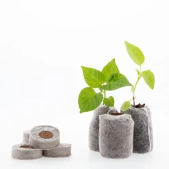 Coco & Coir Seed Germination Dots - 40mm -GreenScape Sales Store 13487129 9394919981342952