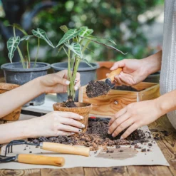 Coco & Coir Round Fibre Pot - 20cm 8 Coco & Coir Round Fibre Pot - 20cm -GreenScape Sales Store 13487130 4344931201157651
