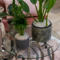 Lava-Lite No-Gnats - 1 Litre -GreenScape Sales Store 13497105 7844922626242567