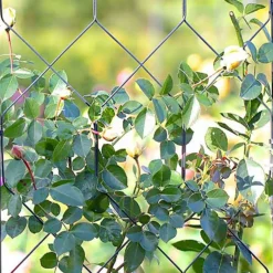 Agriframes Byzantine Garden Screen - W 1.2m X H 2.3m - Black -GreenScape Sales Store 13526231 1524974422531619